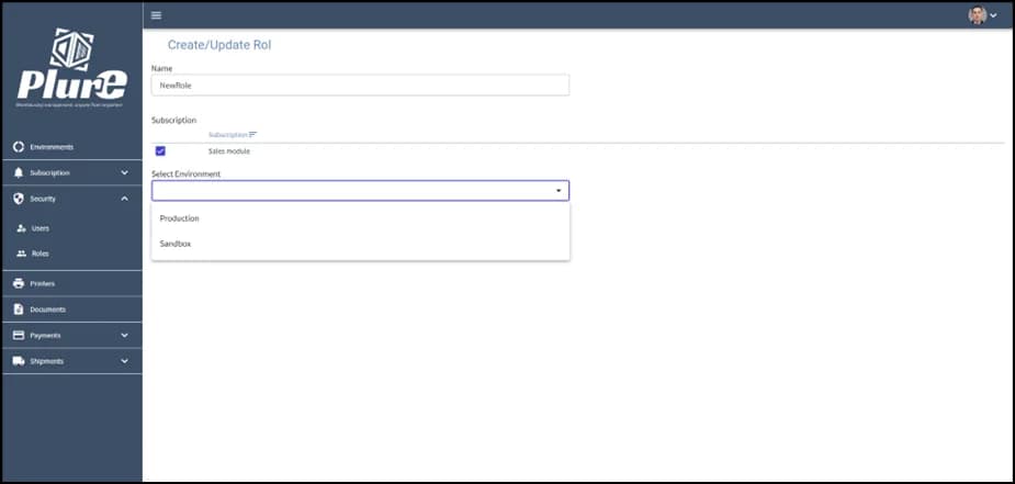 Role creation form with environment selection and module permissions