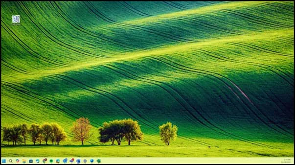 PlurE Printer shortcut on the Windows desktop
