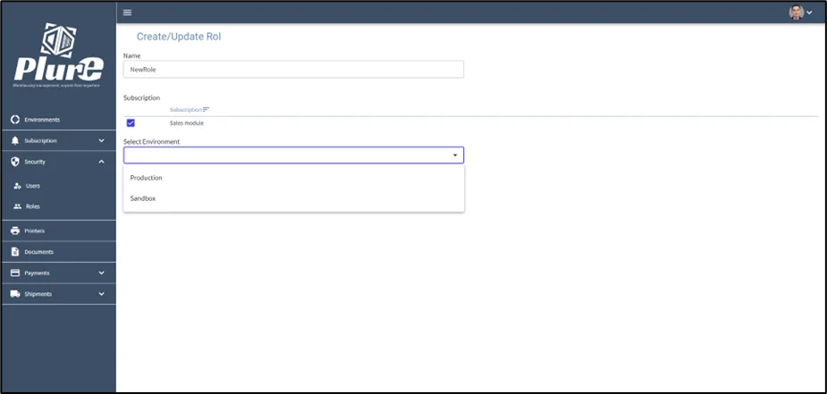 Role creation form with environment selection and module permissions
