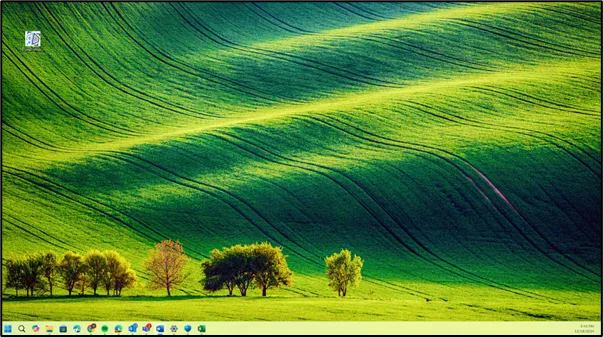 PlurE Printer shortcut on the Windows desktop